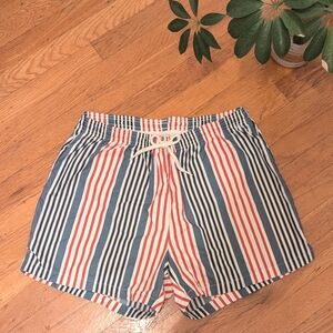 American Apparel Swim Shorts